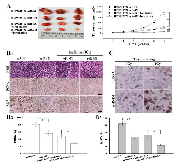 Effect of miR-451 expression on