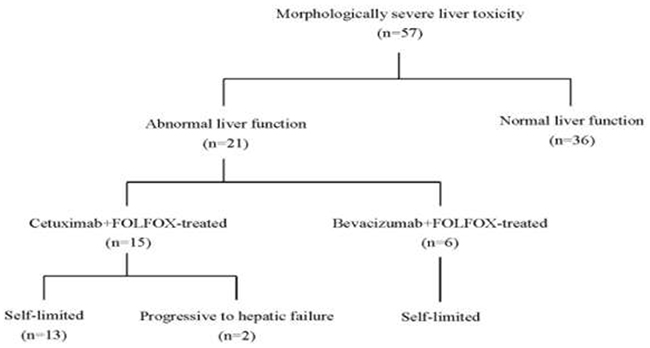 Profile of liver injury in patients receiving preoperative CCRT.