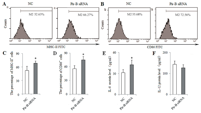 Knockdown of Pir-B by specific siRNA increased the DC function.