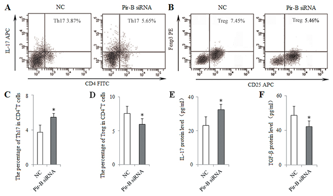 In vitro knockdown of Pir-B increased Th17 response and decreased Treg differentiation.