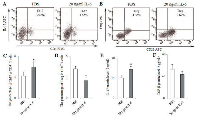 In vitro administration of IL-6 induced Th17 response and inhibited Treg differentiation.