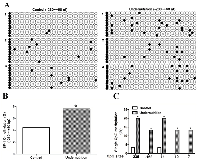 DNA methylation status of steroidogenic factor 1 (SF-1) in maternal rat blood under prenatal maternal undernutrition.