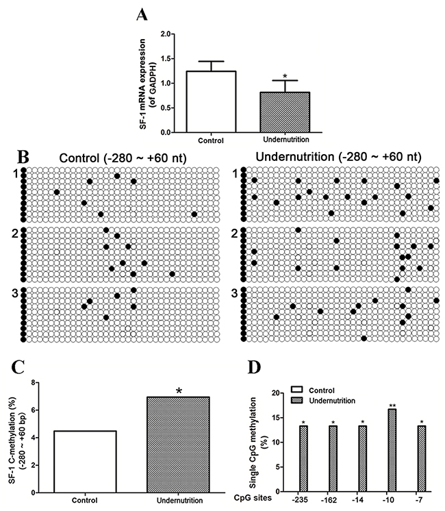 mRNA expression and DNA methylation of steroidogenic factor 1 (SF-1) in rat placenta under prenatal maternal undernutrition.