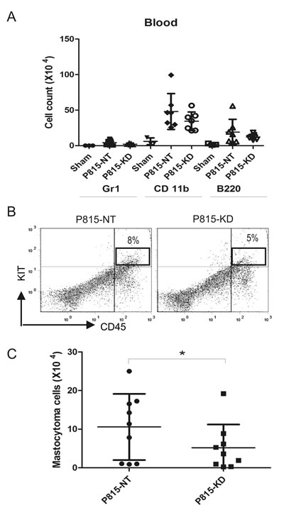 SHP2 silencing reduces mastocytoma burden in peripheral blood.
