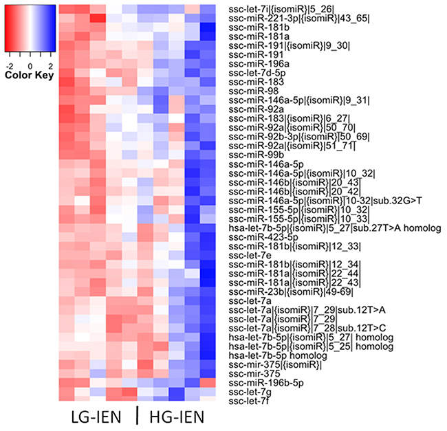 Heatmap showing 44 differentially expressed mature miRNAs and isomiRs in low-grade intra-epithelial dysplasia (LG-IEN) and high-grade intra-epithelial dysplasia (HG-IEN) samples based on the normalised Log2-transformed fold change values and the P-value.