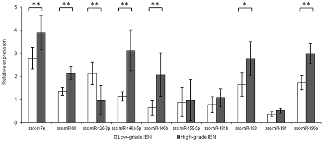 Relative miRNA expression in low-grade intra-epithelial dysplasia (LG-IEN) and high-grade intra-epithelial dysplasia (HG-IEN) samples.