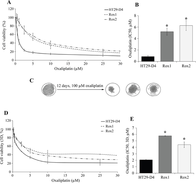 Validation of the resistance status of the selected cells.