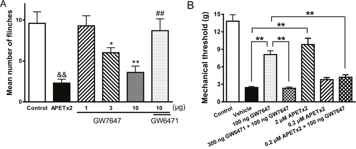 Effects of GW7647 on nociceptive responses to injection of acetic acid and mechanical hypersensitivity induced by injection of CFA into the hind paw in rats.