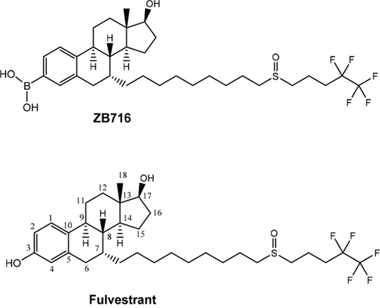 Molecular structures of ZB716 and fulvestrant.