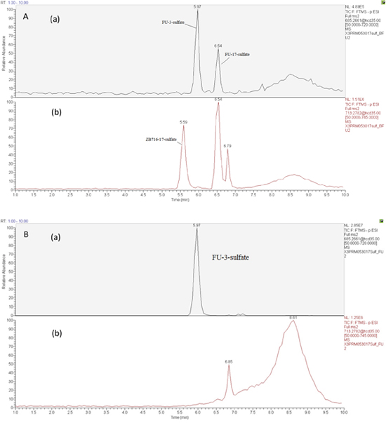 Selected ion chromatograms of liver cytosol incubation mixtures with (A) ZB716 or (B) fulvestrant.