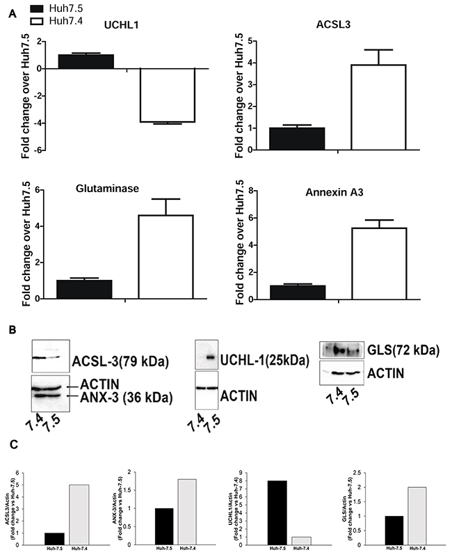 Figure 5: