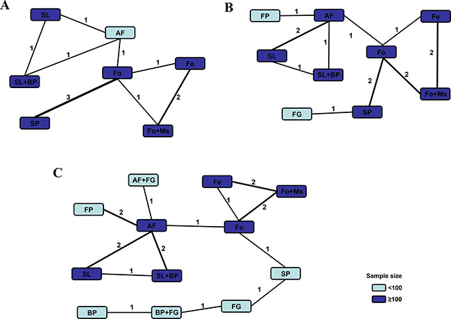 Comparison network of the included RCTs.