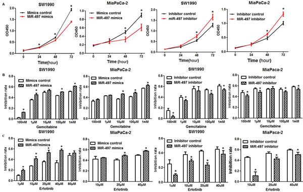 Effects of miR-497 on proliferation and chemosensitivity.