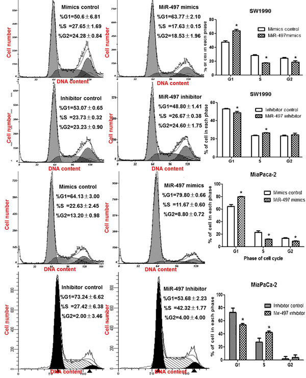 MiR-497 induced cell cycle arrest.