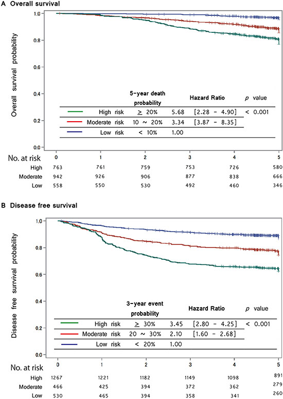 Kaplan-Meier curve stratified by risk group for the Overall Survival and Disease Free Survival in the validation cohort Kaplan-Meier curves of risk group stratification for overall survival in the validation cohort.
