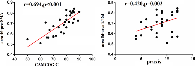 Correlation between cognition and functional connectivity in the DFC.