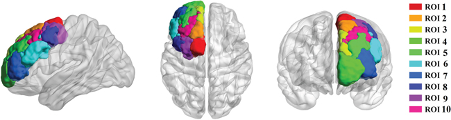 Tractography-based parcellation revealed ten clusters in human dorsal frontal cortex.