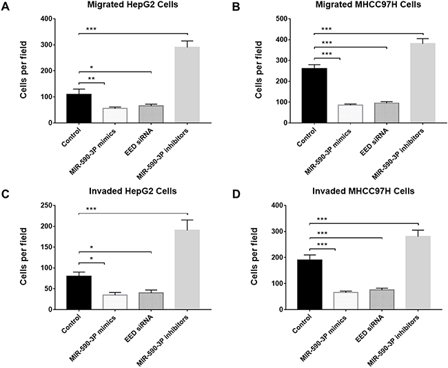 MiR-590-3P inhibits migration and invasion of HCC cells.