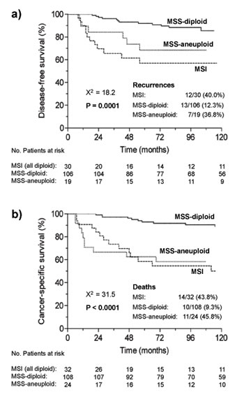 Kaplan-Meier curves for a) disease free survival and b) cancer-specific survival of the three categories of tumors defined by microsatellite instability and ploidy status in the whole series.