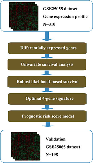 Flow diagram of methods for developing the prognostic 4-gene signature.