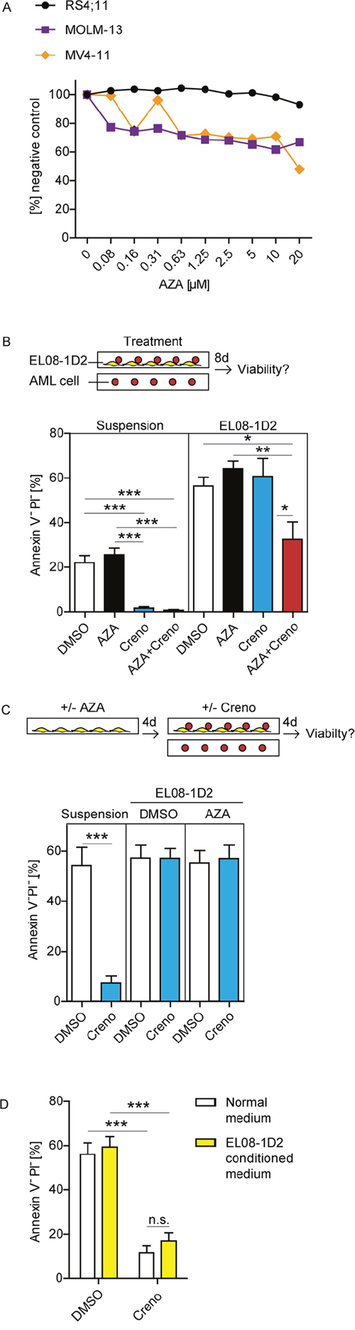 The addition of AZA to creno can overcome stromal resistance of FLT3-ITD leukemia cells.