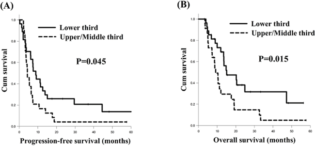 Comparison of survival curves of esophageal squamous cell carcinoma patients harboring celiac lymph node metastasis with different tumor locations.