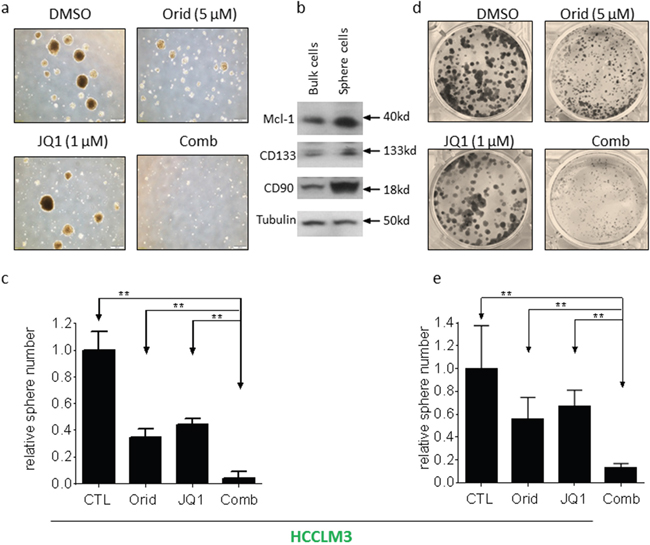 Oridonin significantly enhance JQ1-mediated inhibition of HCCLM3 CSC-like cells growth.