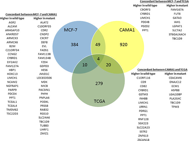 Differential gene expression related to GATA3 mutation.