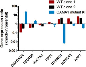 Gene expression changes effected by mutant Gata3.