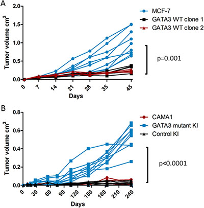 Xenograft growth of isogenic GATA3 mutant and wild type breast cancer cell lines.