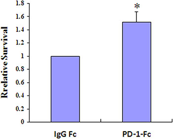 PD-1/PD-L1 interaction results in increased resistance to doxorubicin.