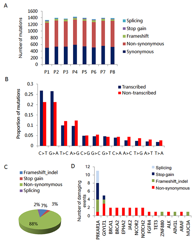 Inactivating mutations of PRKARR1A in ICM.