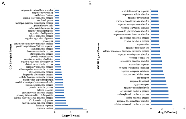 GO biological process analysis of DEGs.