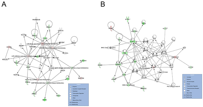 Graphical representation networks generated by IPA related to lipid metabolism.