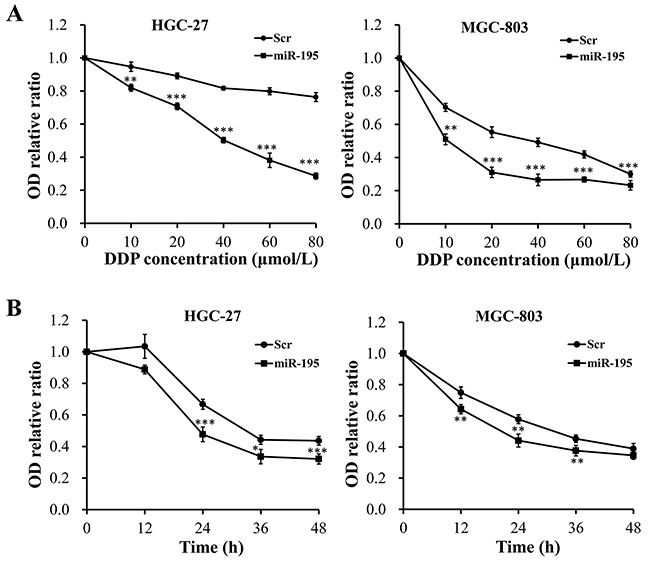 Overexpression of miR-195 enhanced the chemotherapy sensitivity of DDP in GC cells.