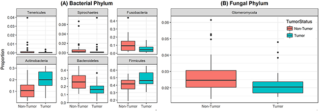 Box and whisker plots of relative abundance of the 6 bacterial phyla and one fungal phylum found significantly different between oral tongue tumor samples and their matched normal tissue samples.