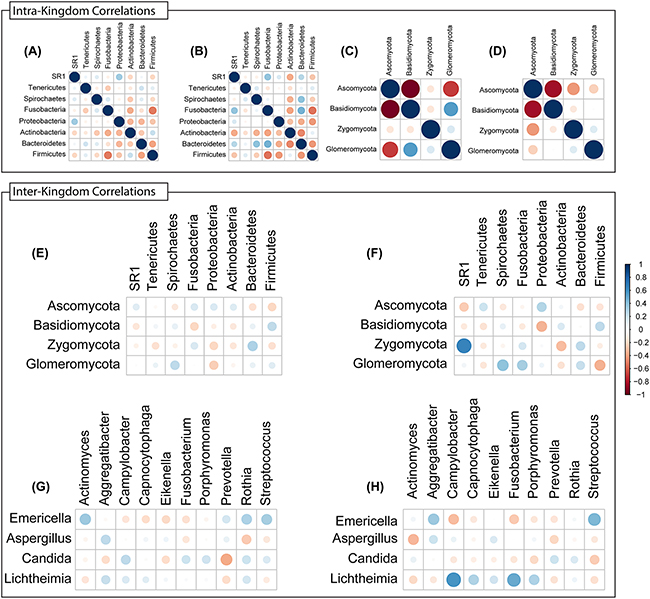 Intra- and Inter-Kingdom correlations at phylum and genus levels.