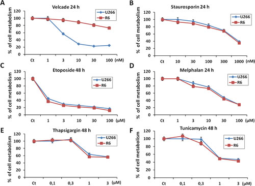 U266 and R6 MM cells are equally sensitive to pro-apoptotic stimuli.