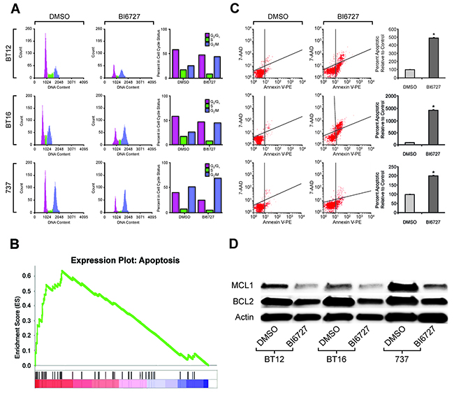 Effect of PLK1 inhibition on cell cycle and cell apoptosis: induced G2/M arrest and increased cell death.