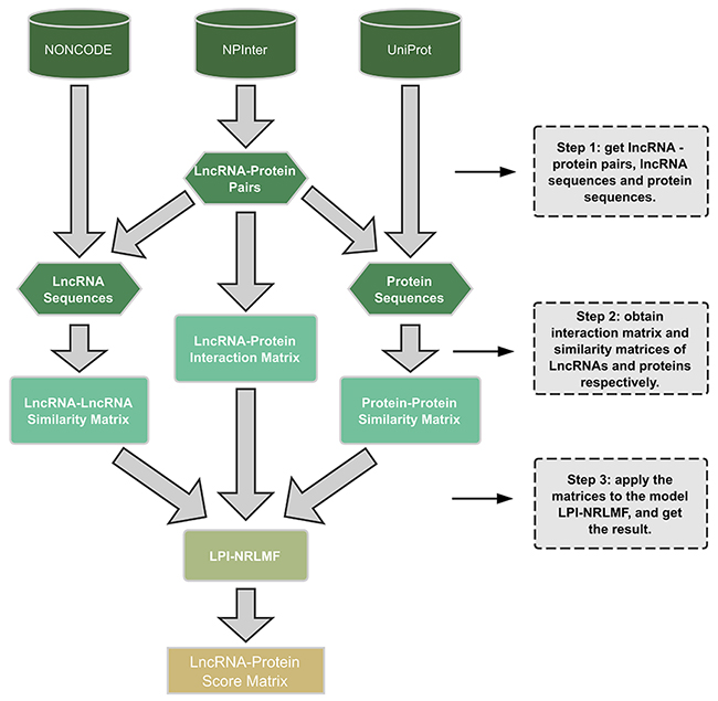 The work flow of the LPI-NRLMF model.