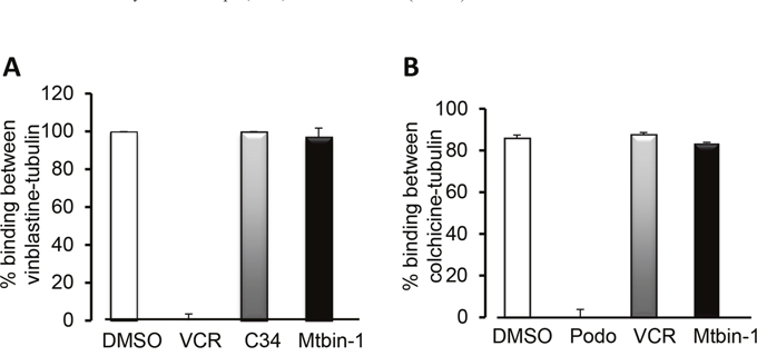 Microtubin-1 does not compete for binding to the vinca-binding site or the colchicine-binding site.