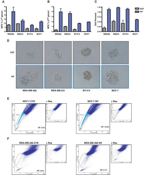 Wound Fluids stimulate growth and self-renewal of tumor initiating cells.