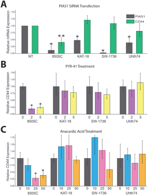 Response of CD44 to SUMO Inhibition in Panel of ATC.