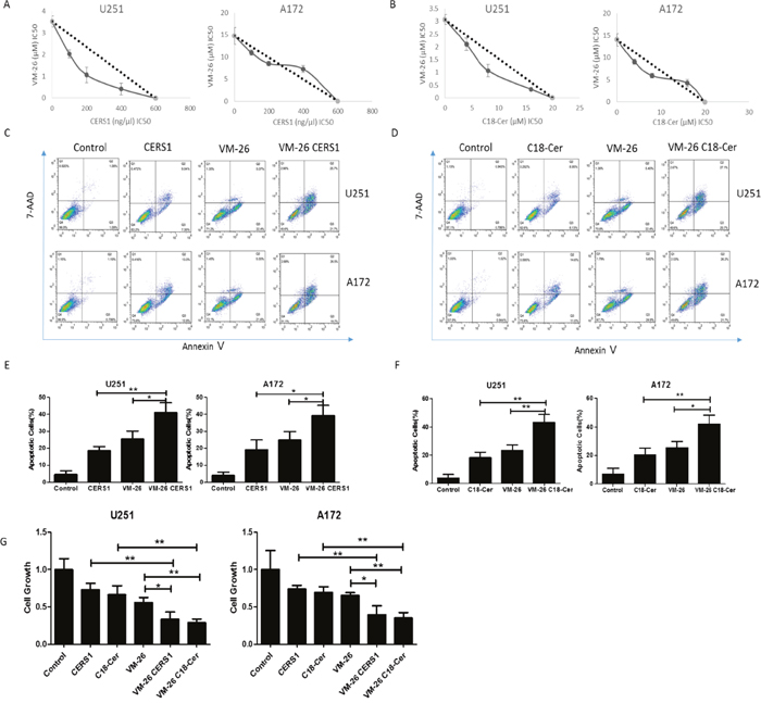 Overexpression of CERS1 and exogenous C18-ceramide increases the chemosensitivity to VM-26 in U251 and A172 glioma cells.
