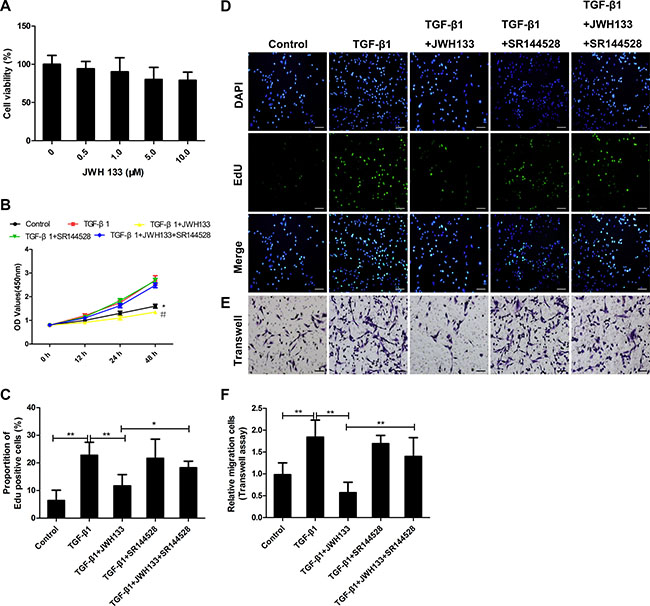 CB2R agonist JWH133 inhibited TGF-&#x03B2;1 induced mice lung fibroblasts proliferation and migration.