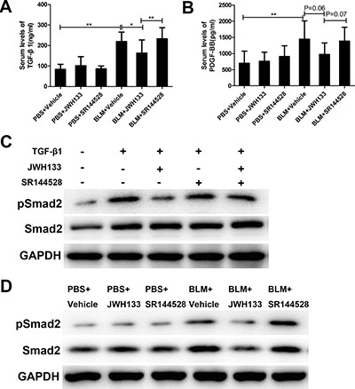 CB2R agonist JWH133 reduced the serum levels of profibrotic cytokines TGF-&#x03B2;1 in pulmonary fibrosis mice and decreased expression of Smad2 phosphorylation in vitro and in vivo.