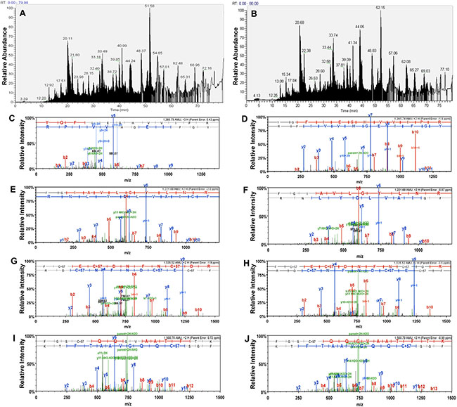 Shotgun proteomics and LC MS/MS analysis.