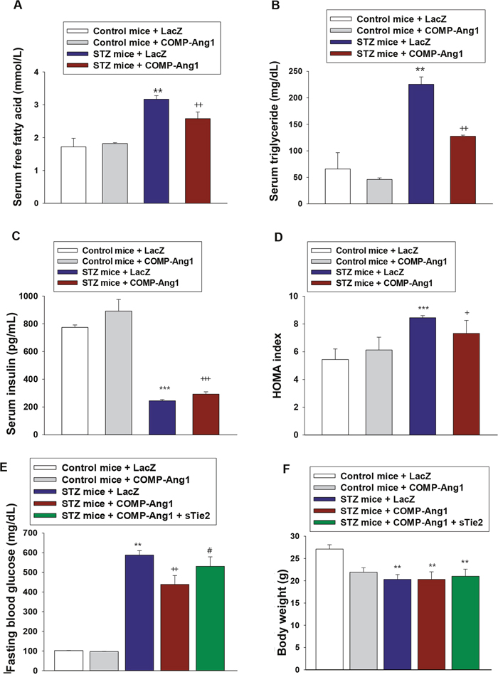 Changes of serum lipid levels and HOMA index.