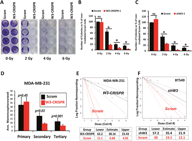 Loss of WAVE3 inhibits key biological functions of cancer stem cells.