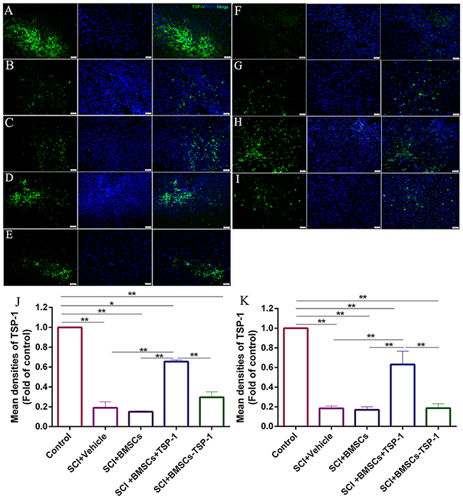 Figure 6: